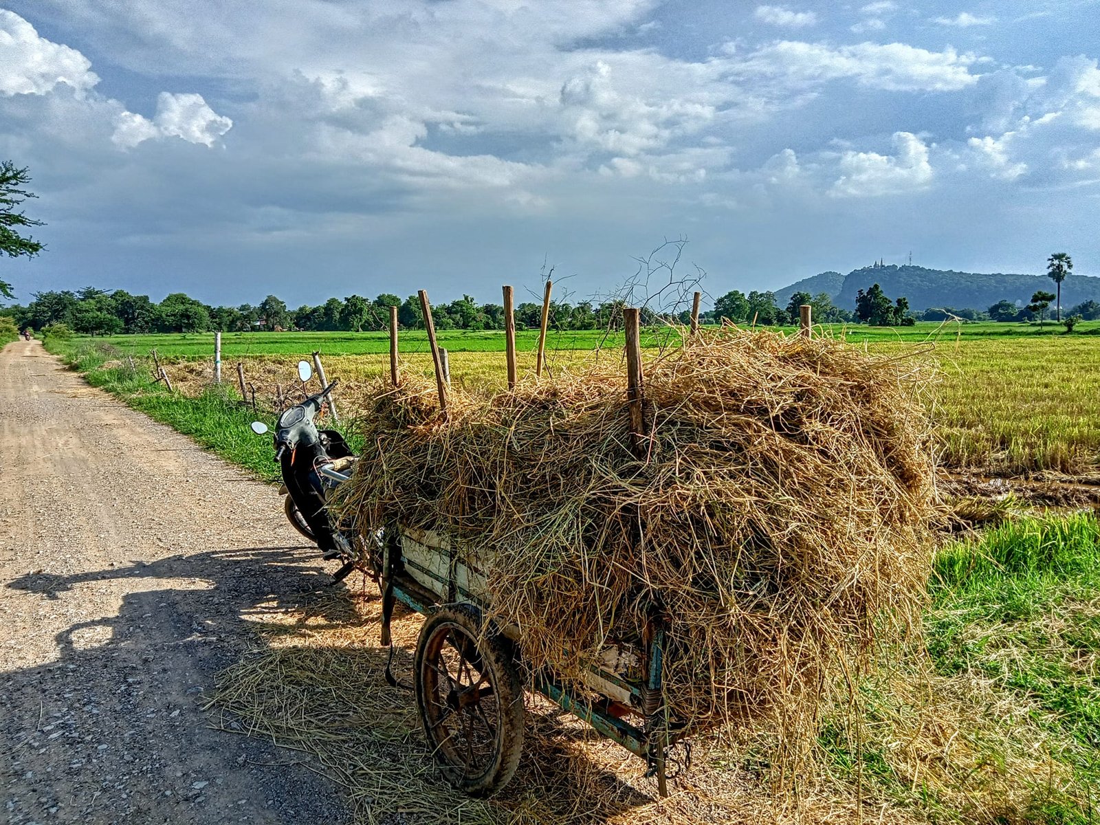 Phnom Penh Cycle to Kep Kampot 4 Days